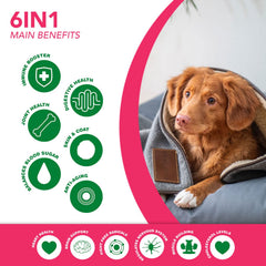Ruji Naturals omega-3-6 components depicted for healthy coat