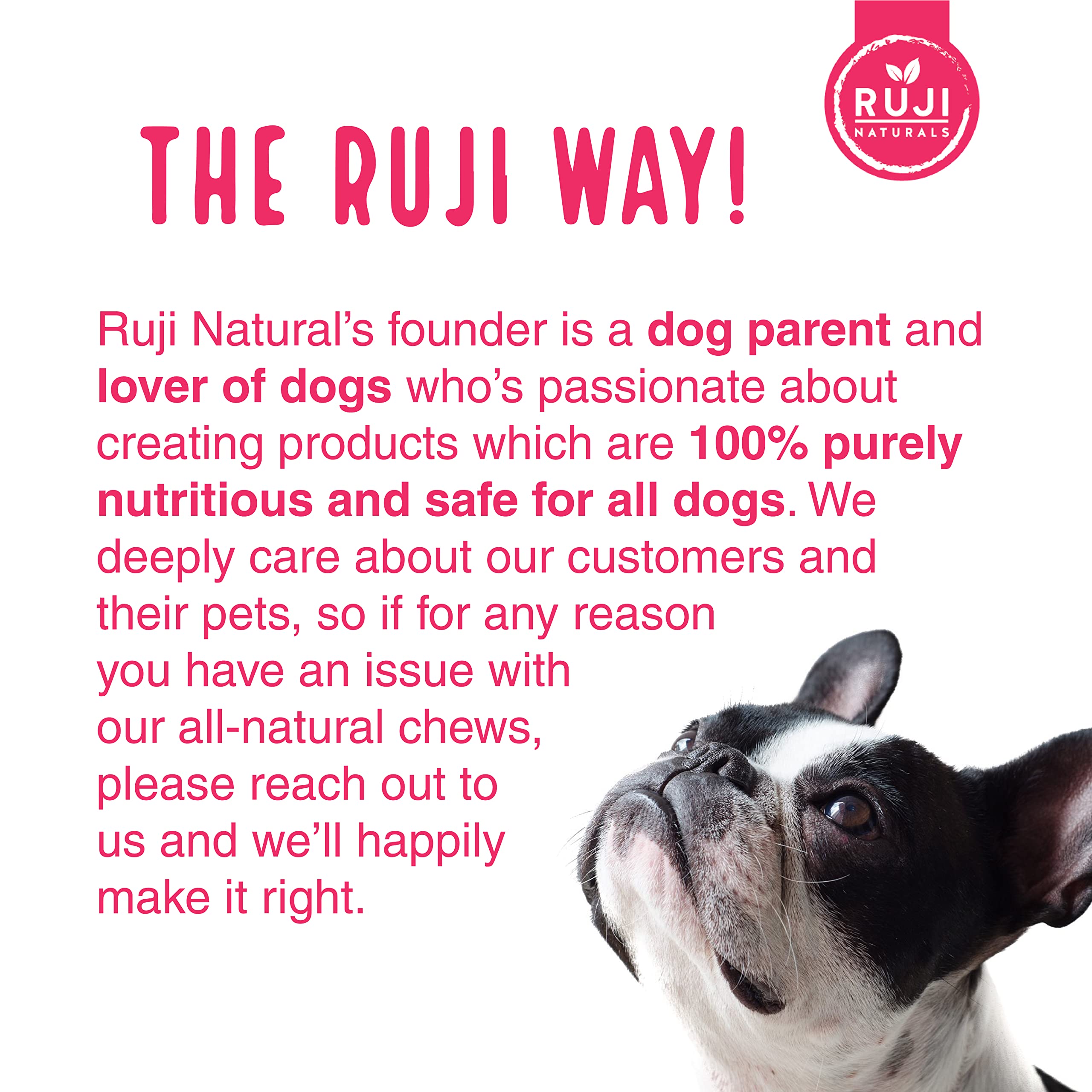 Ruji Naturals dog enjoying a cheese flavored chew showcasing flavor appeal