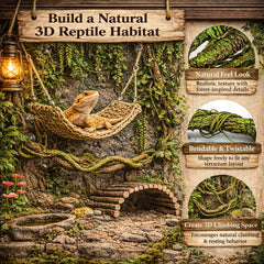 RUNANIA hanging plant adds natural decor to terrarium