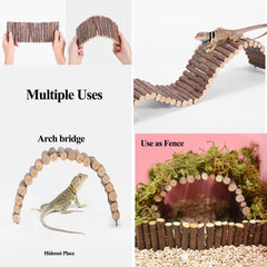 RUNANIA reptile bridge adds climbing opportunities and vertical interest.