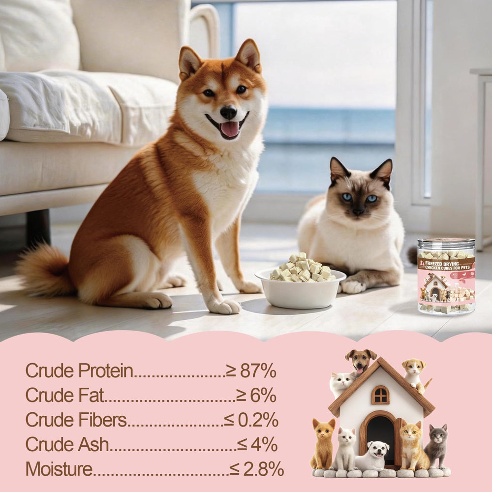 Runcaidamai jar-pack packaging; portable, fresh treats for on-the-go training.