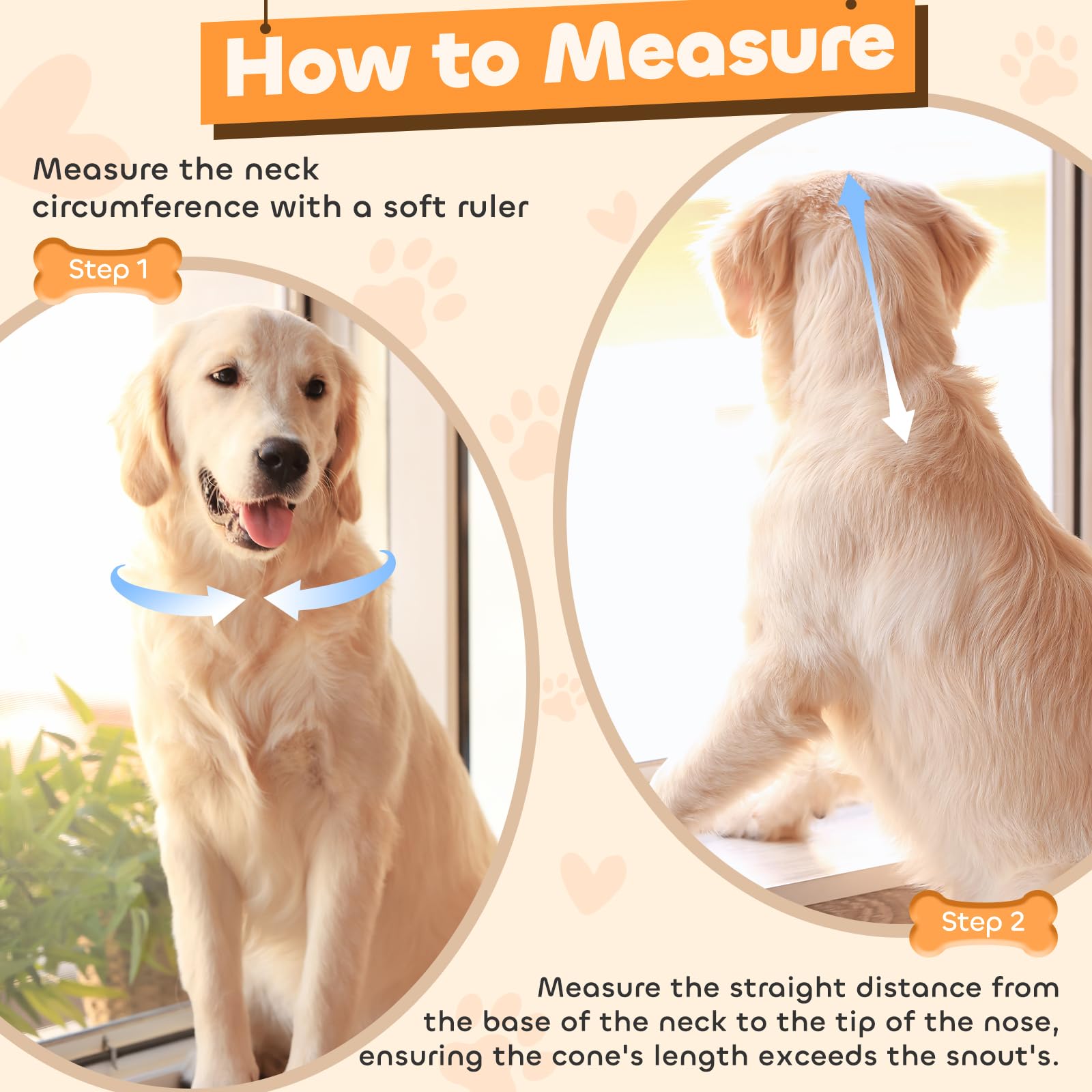 Runeap cone with 360° vision enabling easy feeding and play.