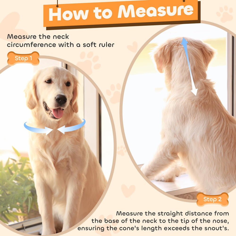 Runeap cone with 360° vision enabling easy feeding and play.