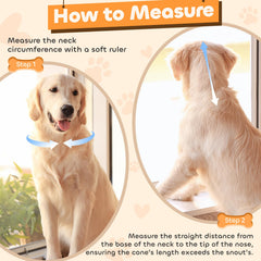 Runeap cone with 360° vision enabling easy feeding and play.