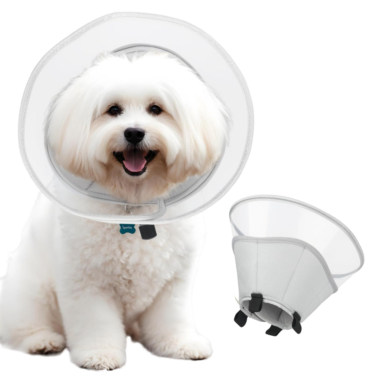 Runeap soft dog cone collar on a large dog, protecting wounds after surgery.
