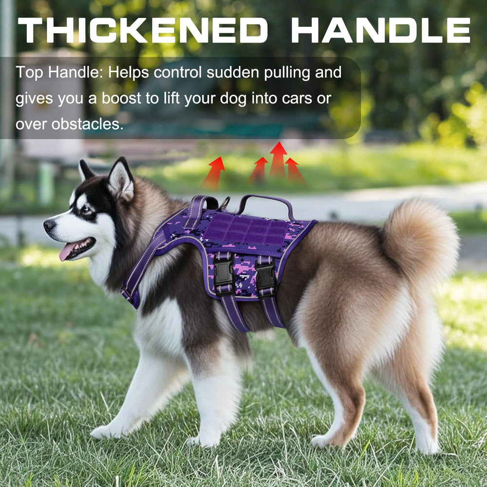 RunFido breathable mesh padding keeps dogs comfortable during hikes