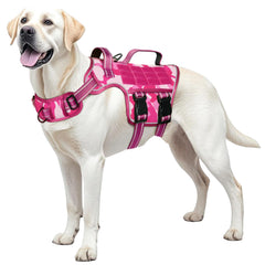 RunFido harness front clip for no-pull control during walks.