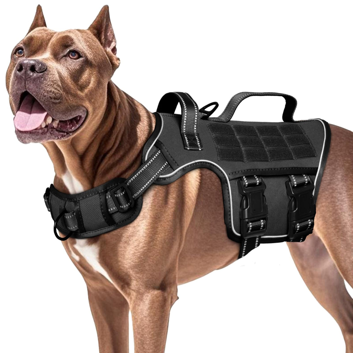 RunFido large dog harness front view shows quick-release buckles for fast on/off.