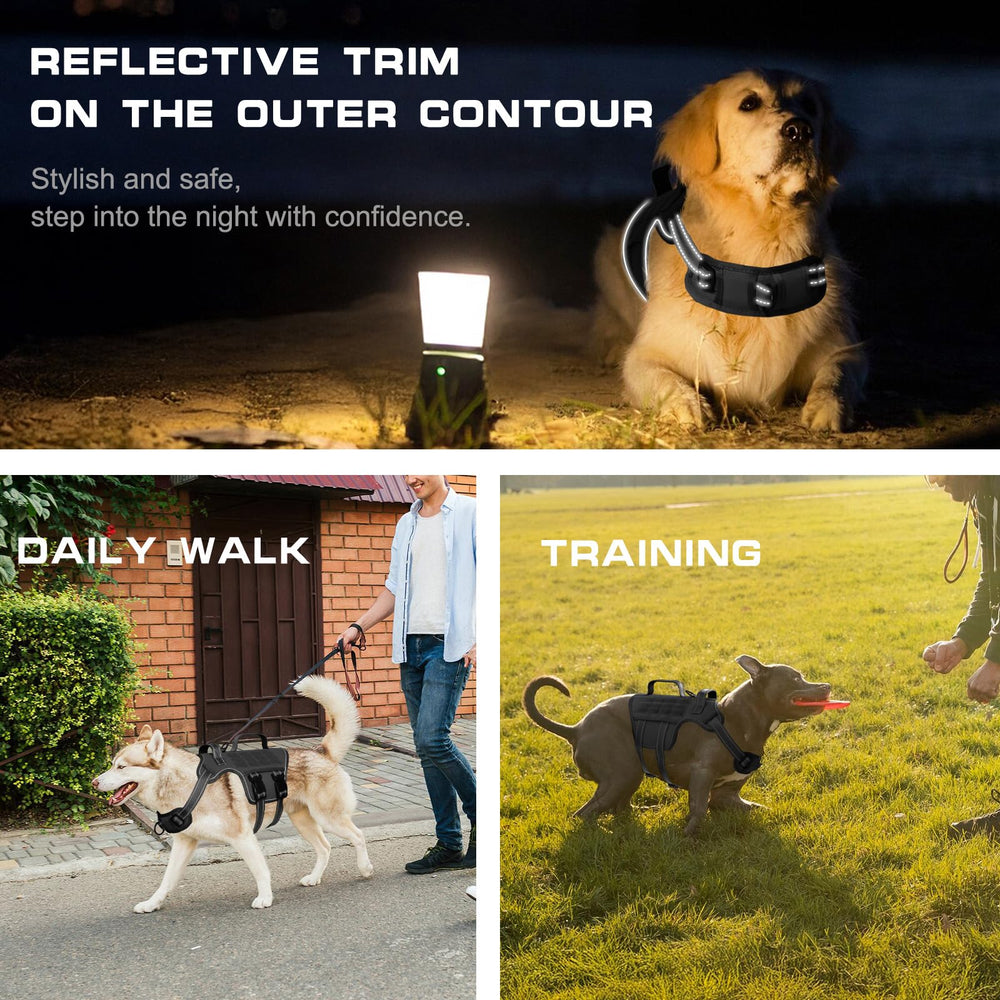 RunFido harness with reflective strip increases nighttime visibility for safety.