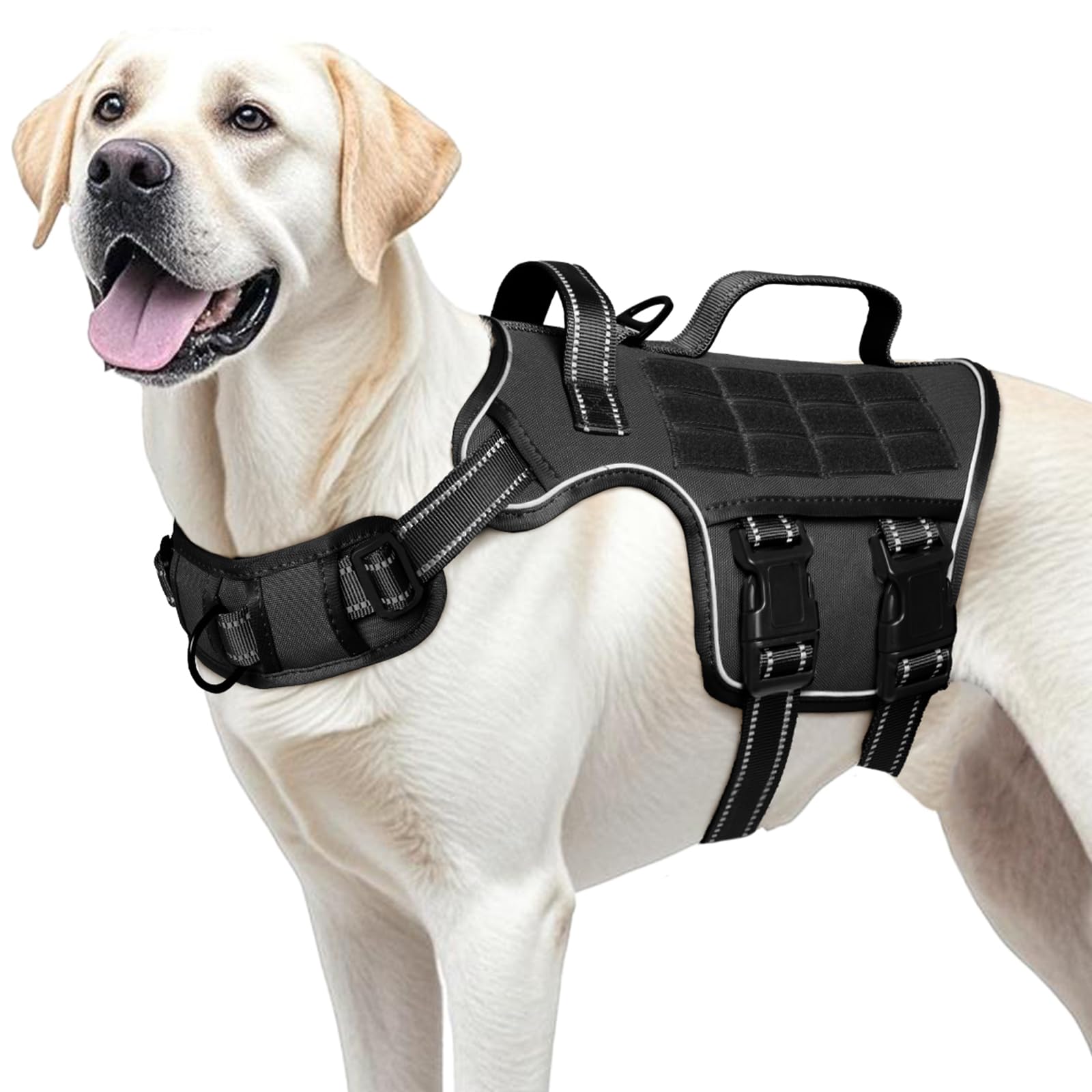 RunFido service-dog style vest suitable for walking, training, and hiking.