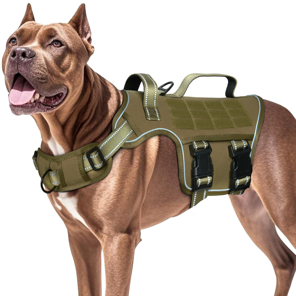 RunFido harness MOLLE system for attachments and patches