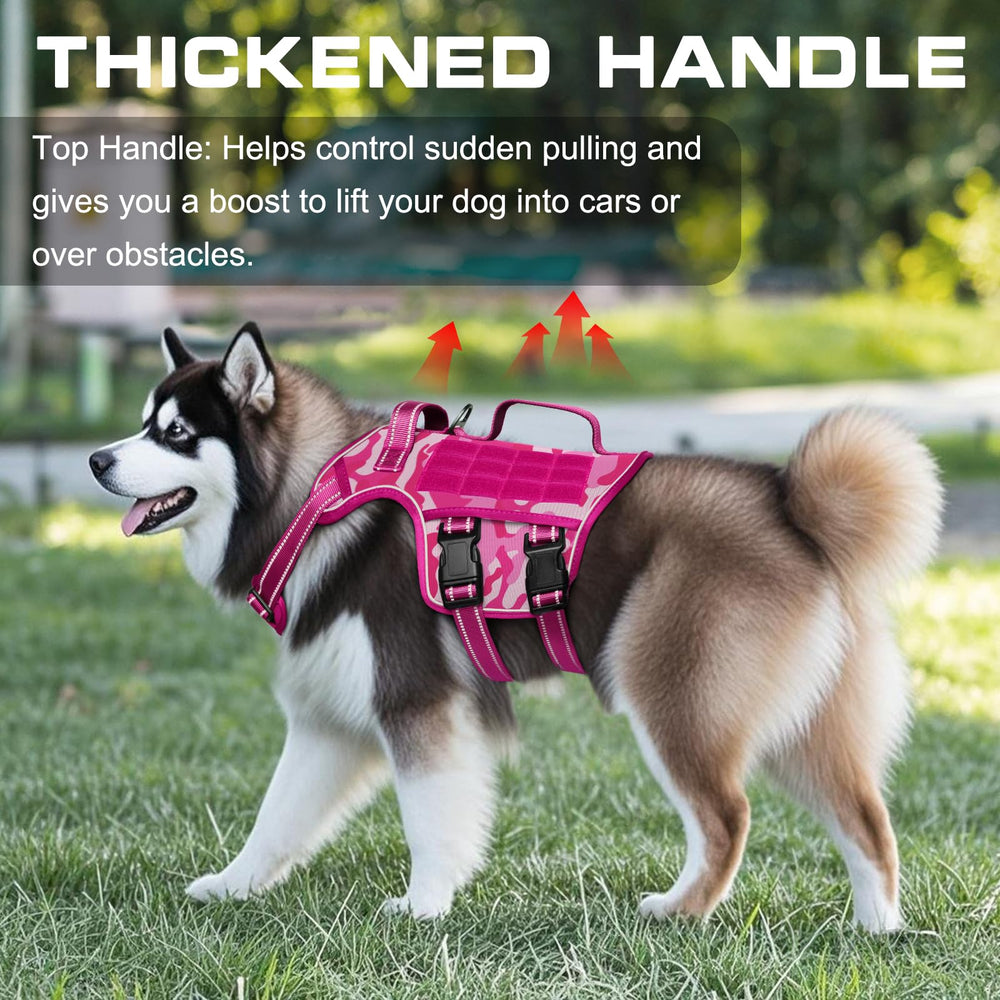 RunFido no-pull design with dual handles aids training control.