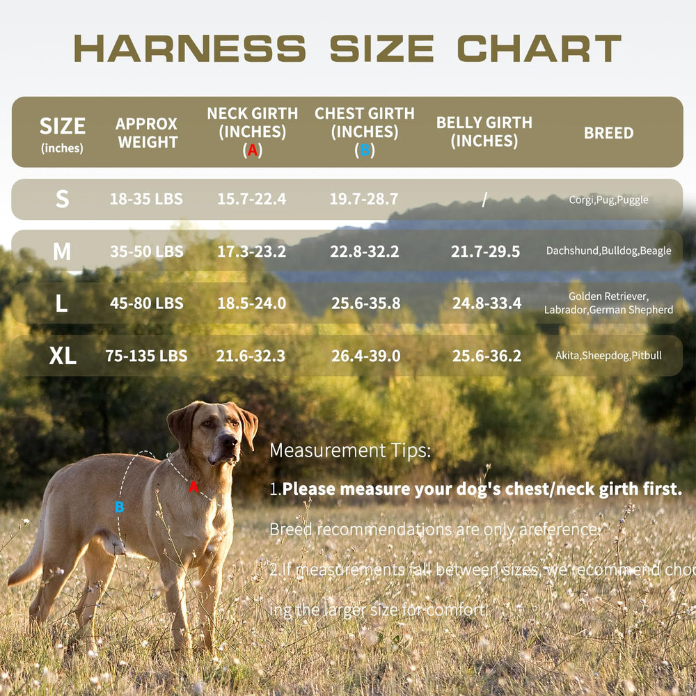 RunFido quick-release buckles for easy on/off.
