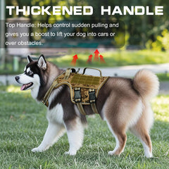 RunFido rear-lead attachment for relaxed strolls and jogging.