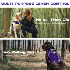 RunFido dual handles and Molle system for versatile control