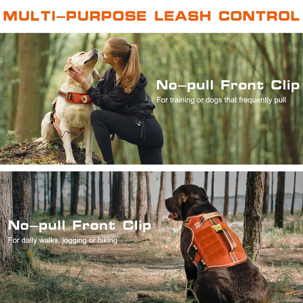 RunFido easy on/off harness for quick outdoor setup.