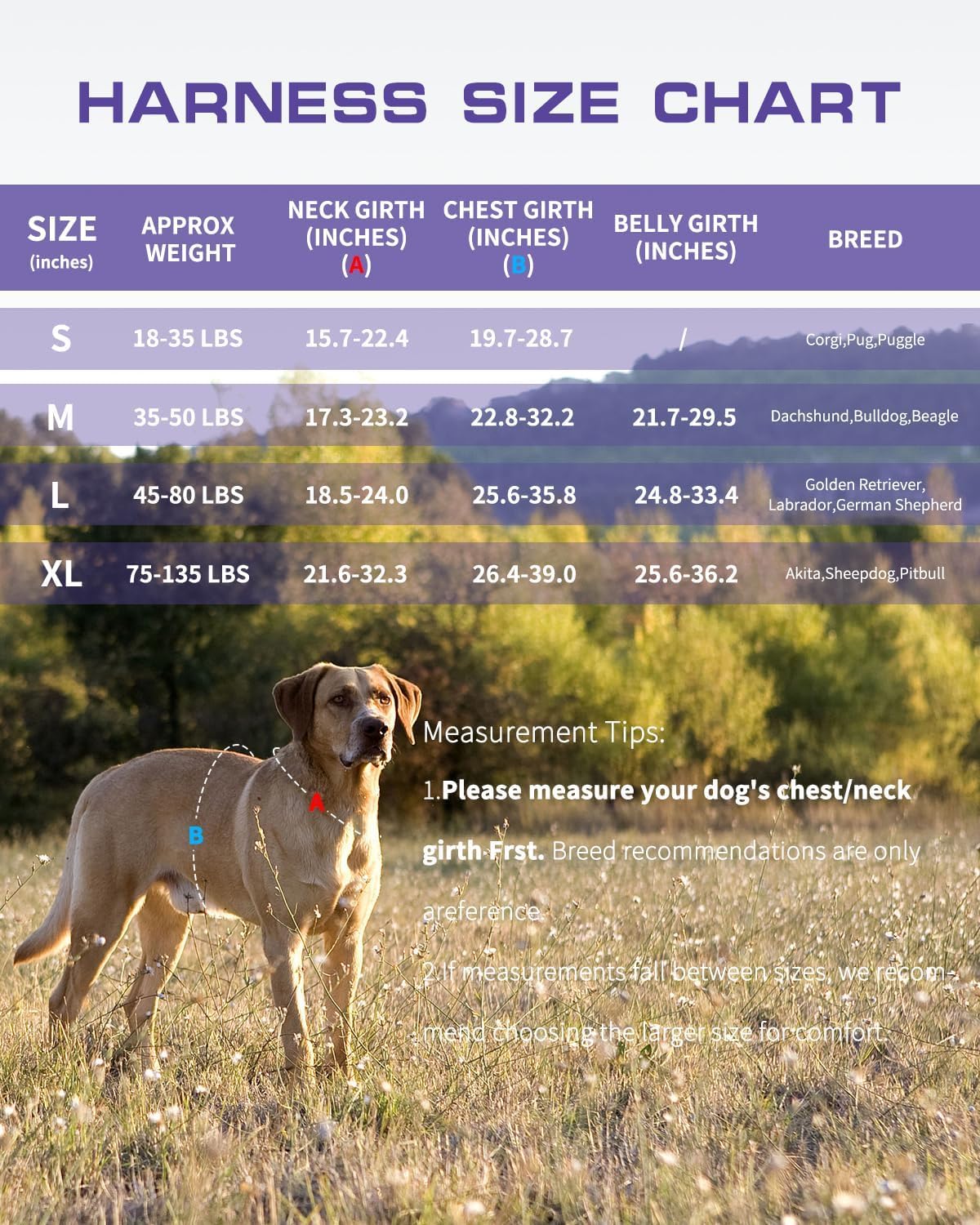 RunFido quick-release buckle facilitates fast, stress-free wearing