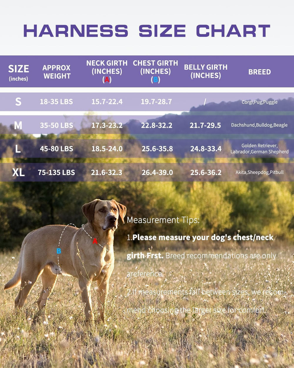 RunFido quick-release buckle facilitates fast, stress-free wearing