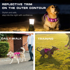 RunFido harness front leash ring enables no-pull training and smoother walks.