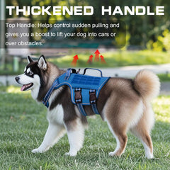 RunFido harness with MOLLE system to attach accessories for hikes.