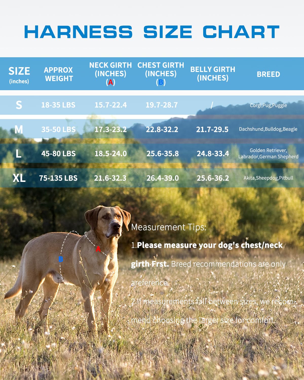 RunFido harness quick-release buckle enables fast, easy on/off.