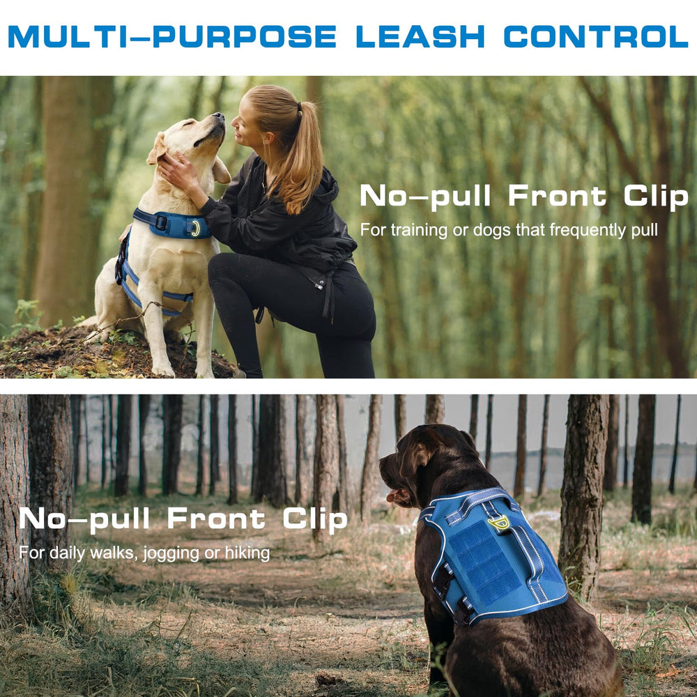 RunFido harness reflective strip enhances night-time visibility during walks.