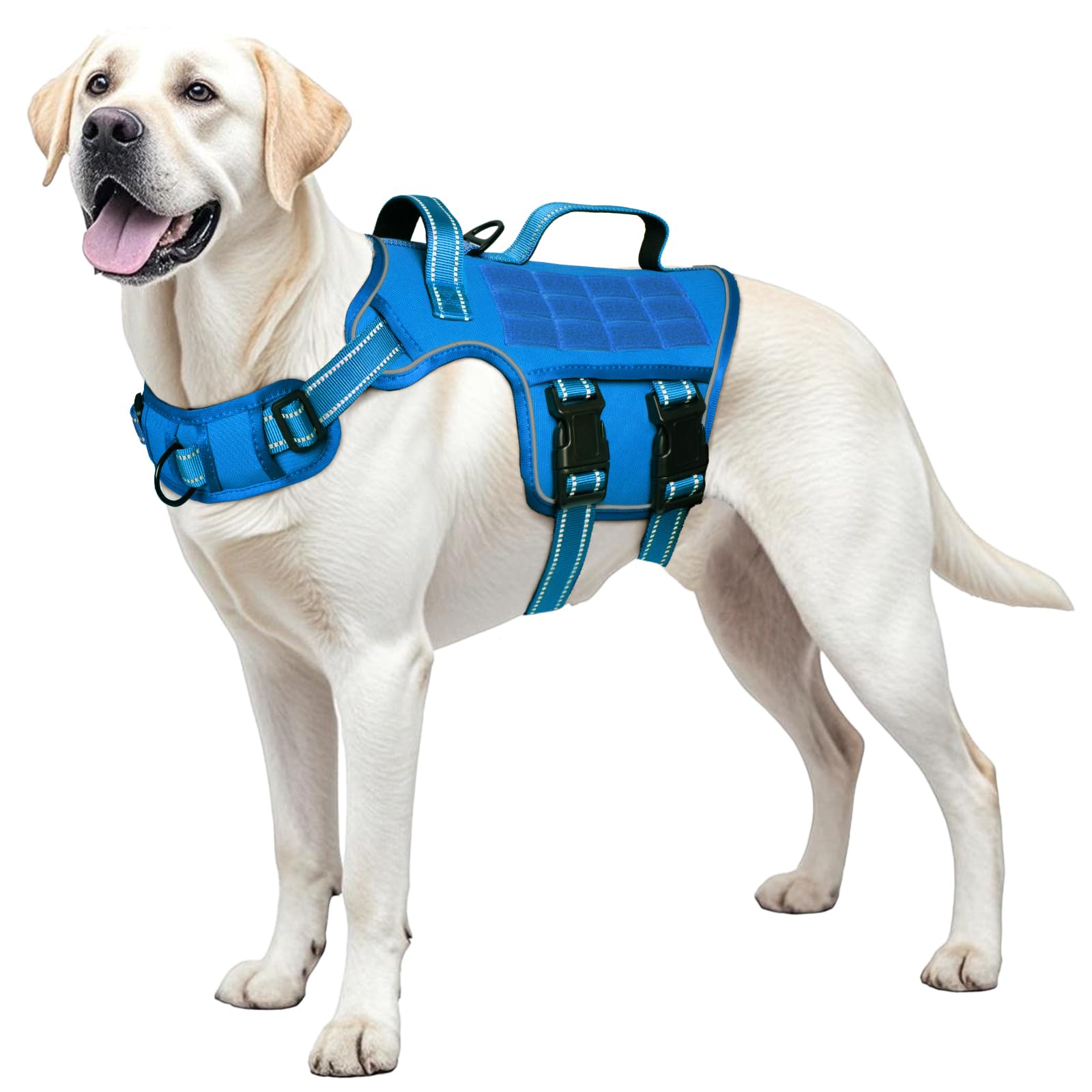 RunFido harness size guide helps find the right fit for every dog.