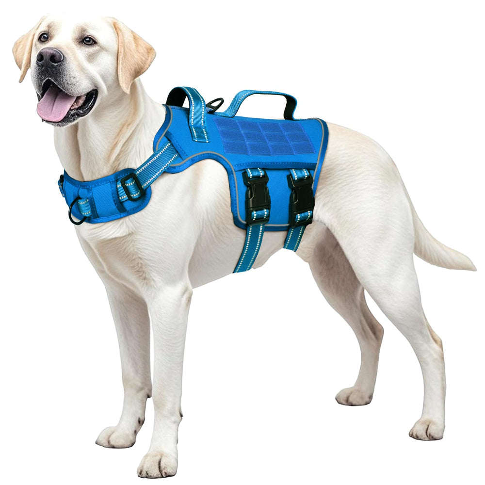 RunFido harness size guide helps find the right fit for every dog.