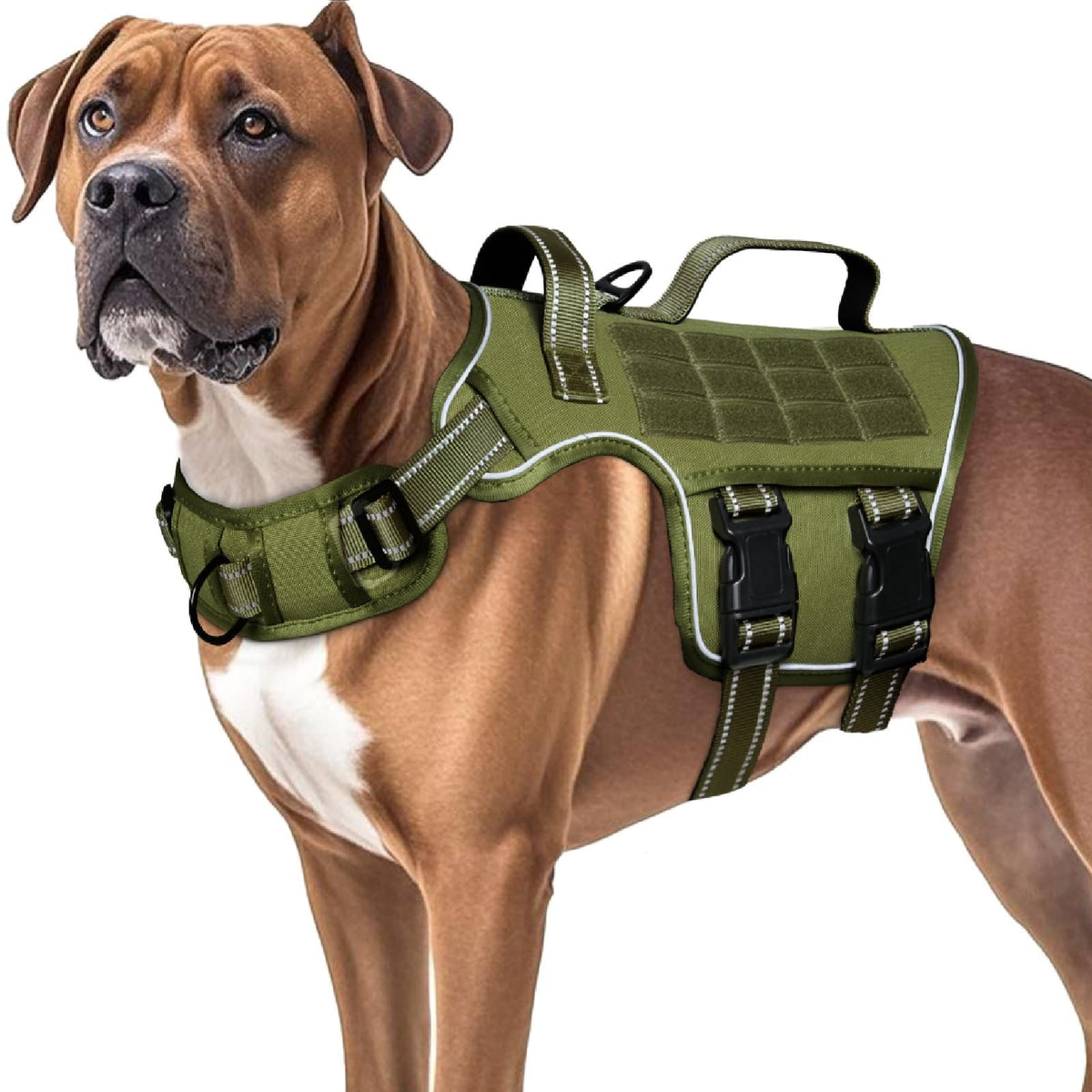 RunFido heavy-duty dog harness for large dogs with secure fit and durability.