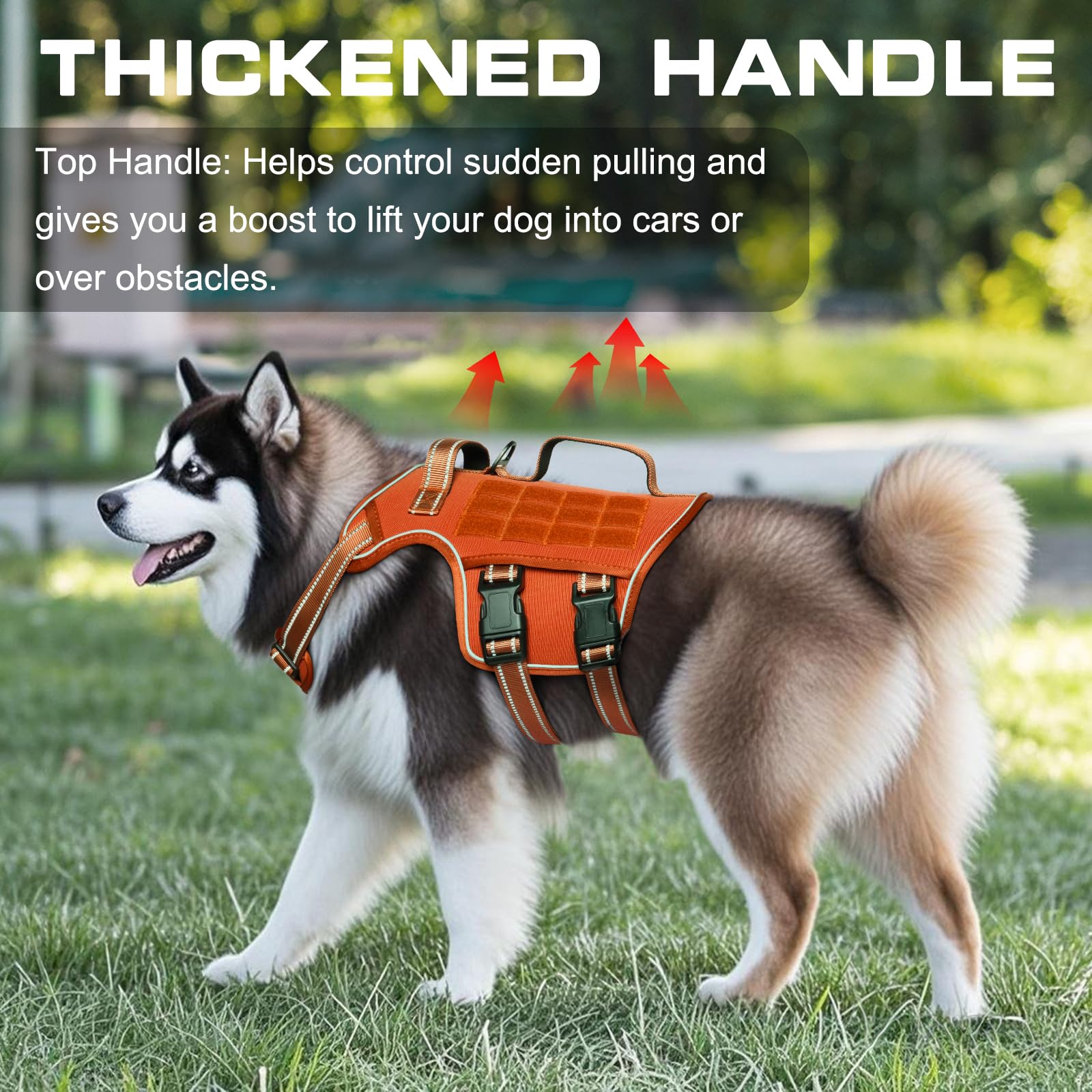 RunFido Molle-system vest for training and accessory attachment.