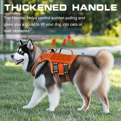 RunFido Molle-system vest for training and accessory attachment.