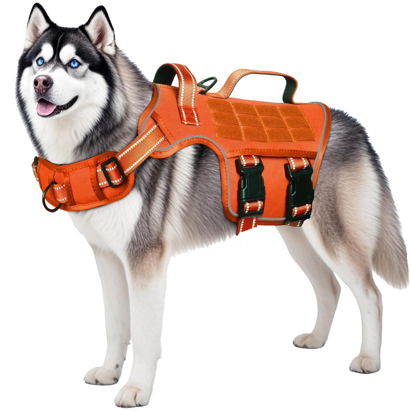 RunFido sized for large breeds with multiple size options.