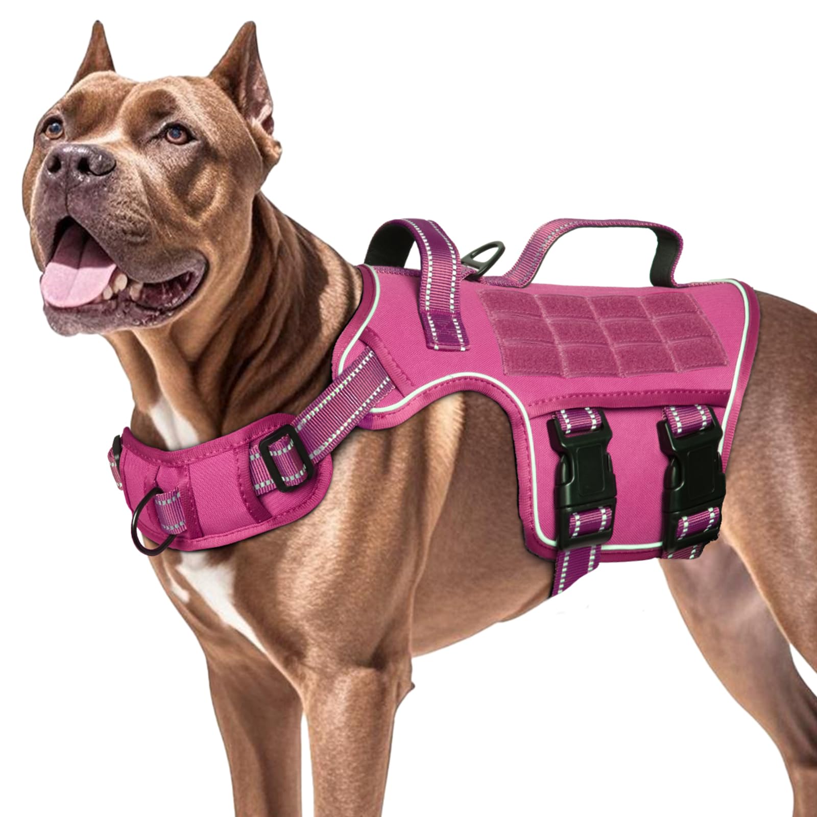 RunFido nylon handles provide extra grip on challenging terrain.