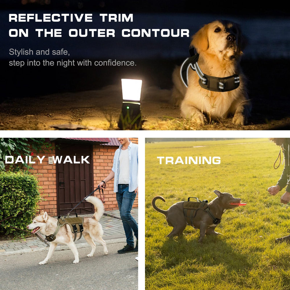 RunFido rear leash ring ideal for relaxed walks and jogging