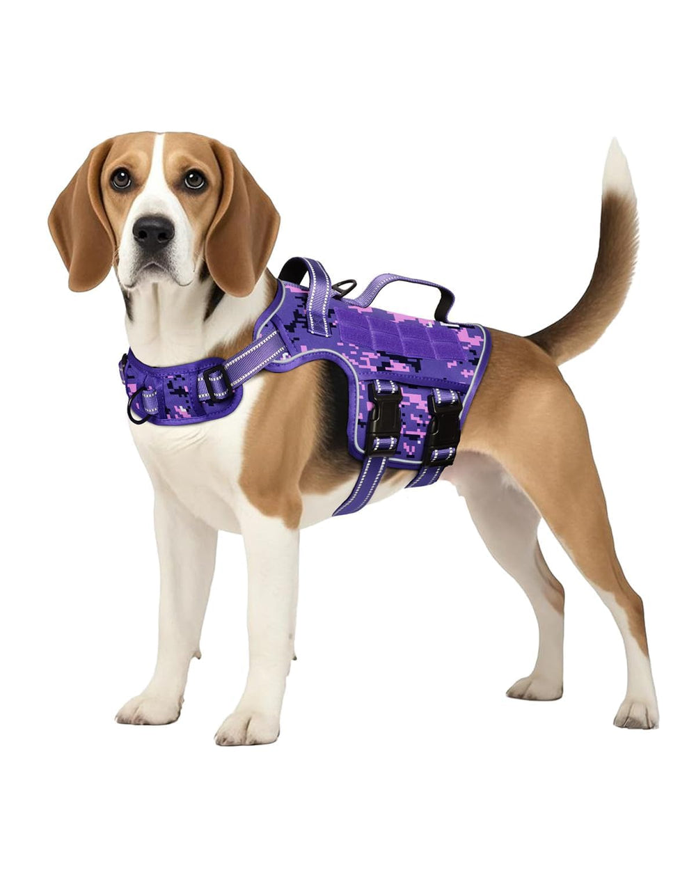 RunFido Tactical Harness front clip for controlled walking; front-clip advantage.
