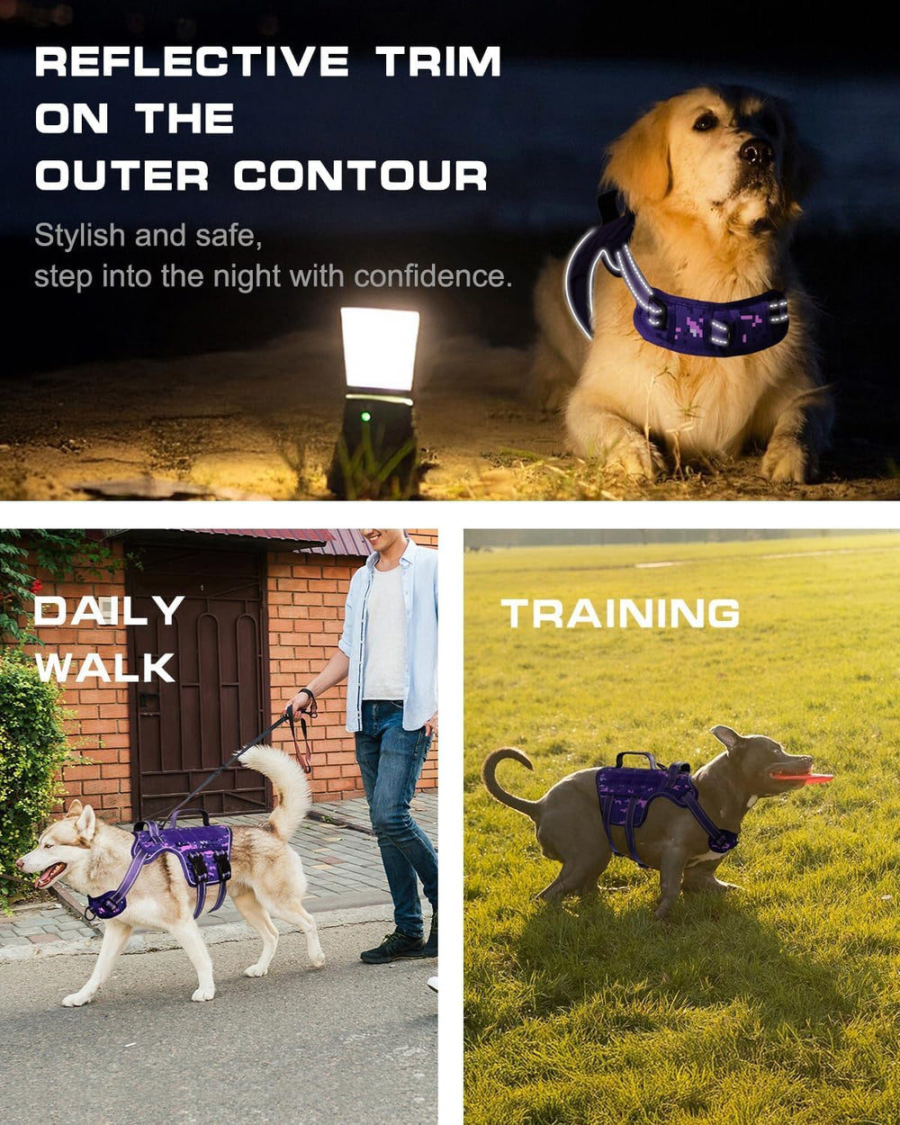 RunFido reflective stitching increases nighttime visibility for safety.