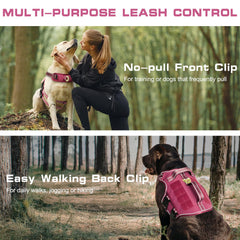 RunFido Tactical Harness back-strap in-use for casual walks and hikes.