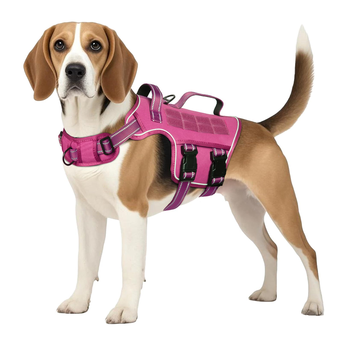 RunFido Tactical Harness for a medium dog on a walk with secure comfort.