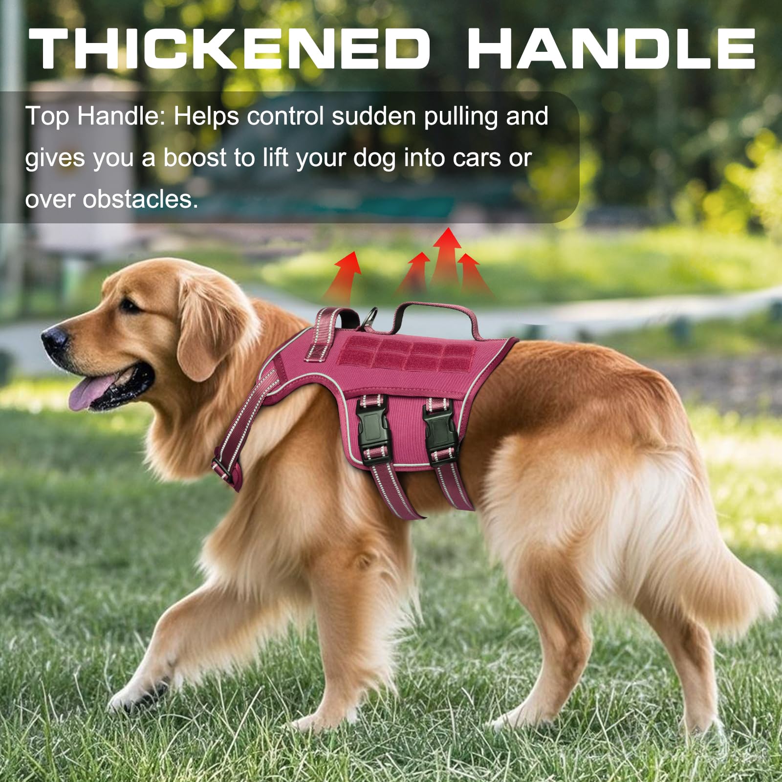 RunFido Tactical Harness front-leash ring enables no-pull training on trails.