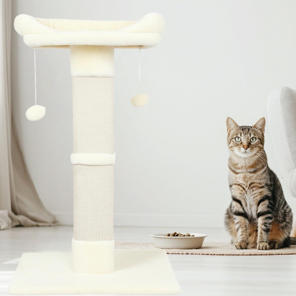 Runske cat enjoying the post in a living space demonstrates space-efficient design.