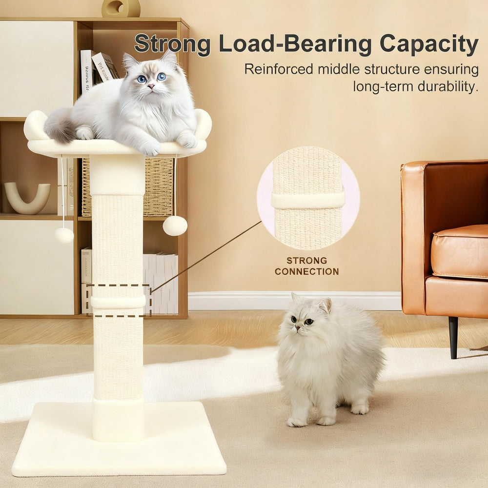 Runske wide plush base demonstrates stable support during climbing and lounging.