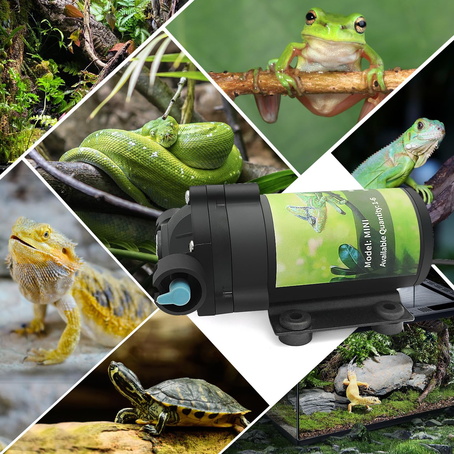 RUNWUSHENG all-in-one-misting setup enhances terrarium humidity with reliable operation