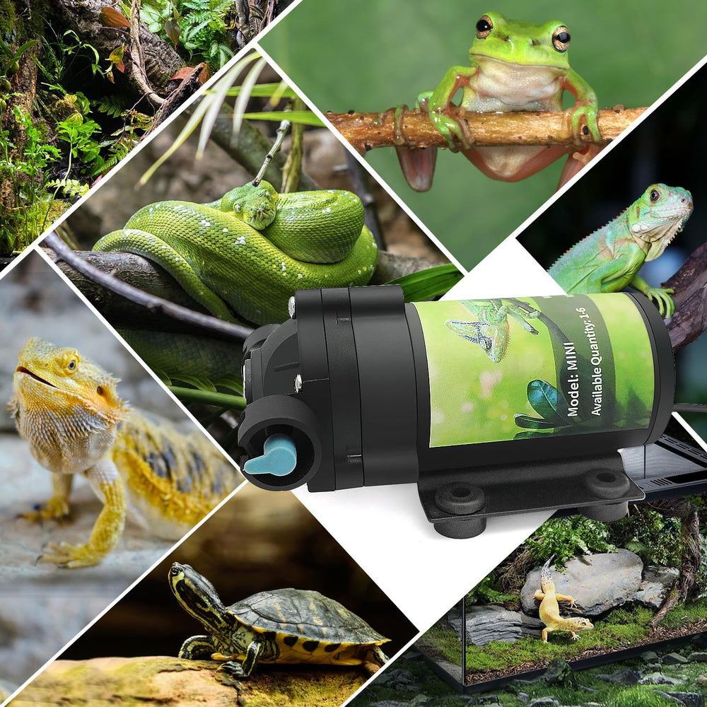 RUNWUSHENG all-in-one-misting setup enhances terrarium humidity with reliable operation