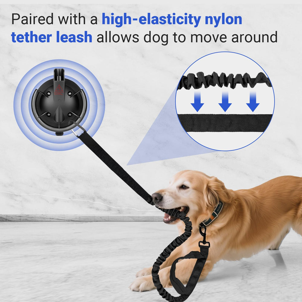 Ruppence durable suction cup designed for long-lasting bathing sessions.