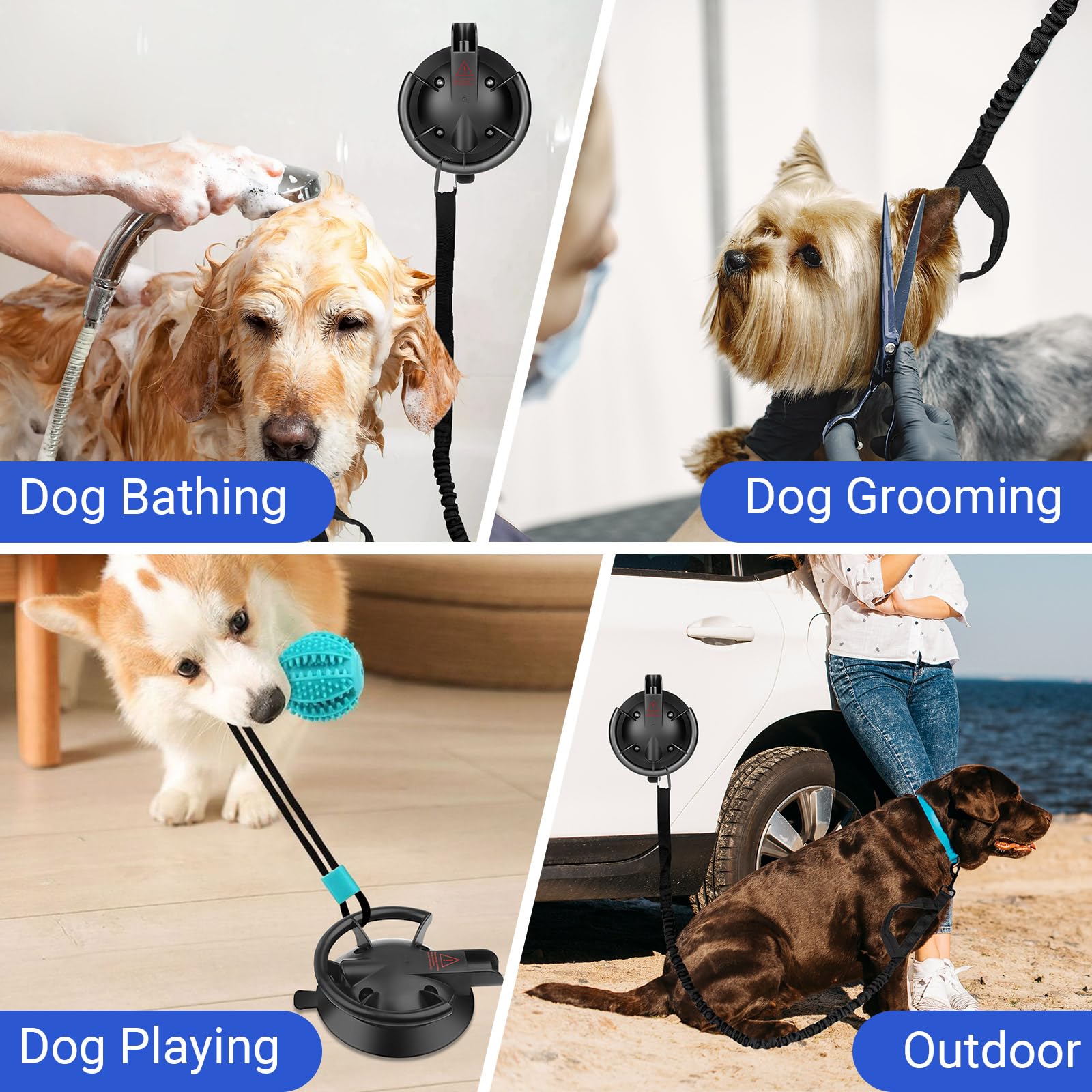 Ruppence easy setup for dog grooming on smooth surfaces.