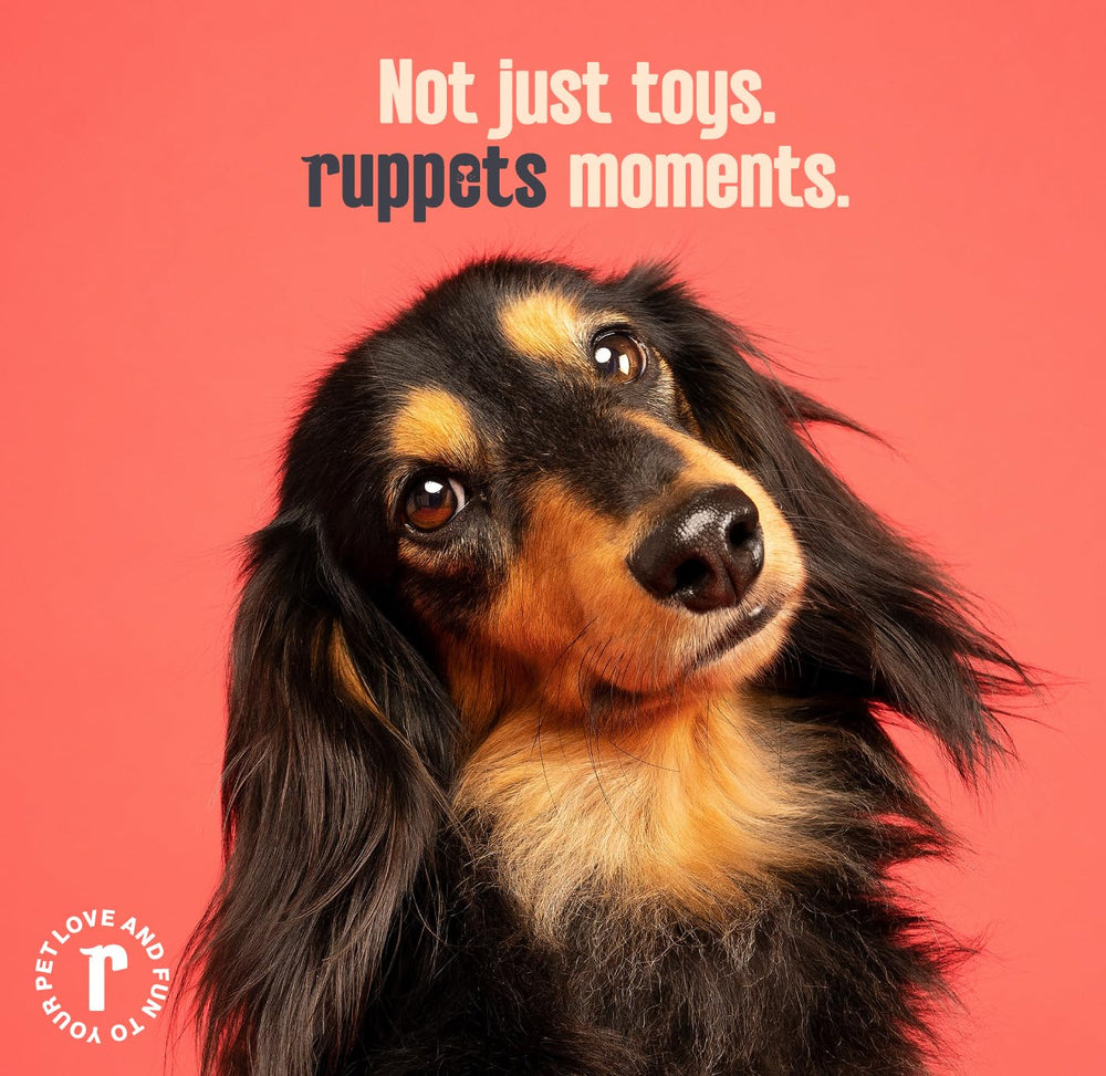 Ruppets 2-pack packaging image emphasizing safety and toxin-free chew toys.