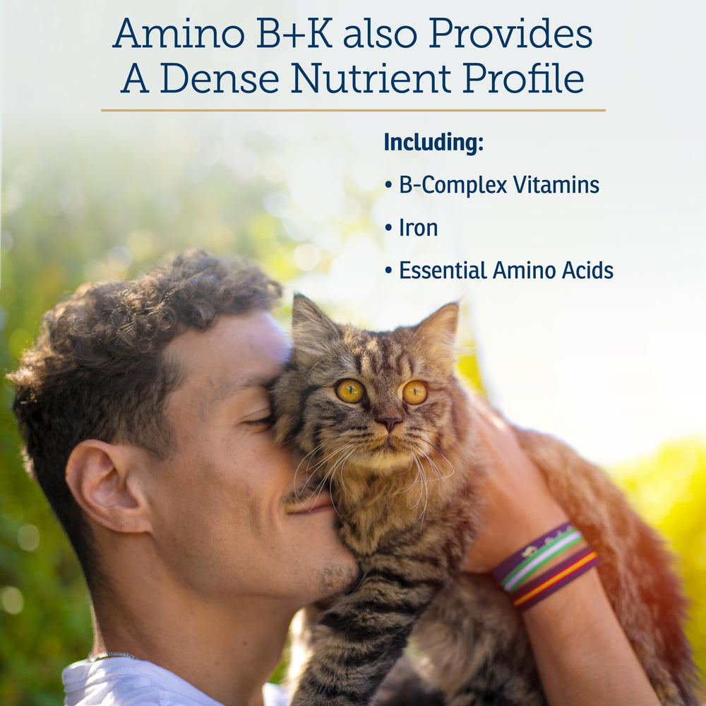 Cat health concept image with vibrant colors hints at vitality from the blended formula.