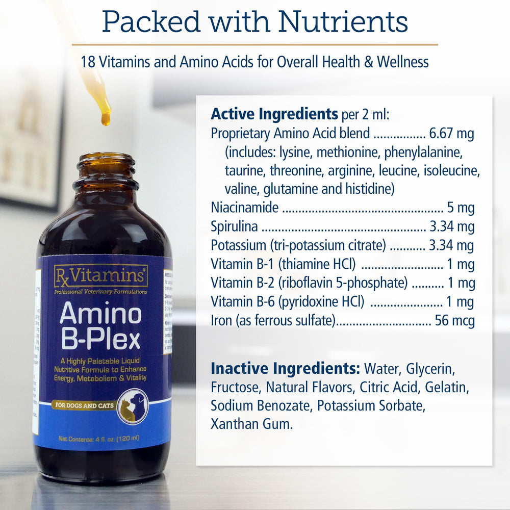 Rx Vitamins Amino B Plex nutrition facts label highlights key ingredients