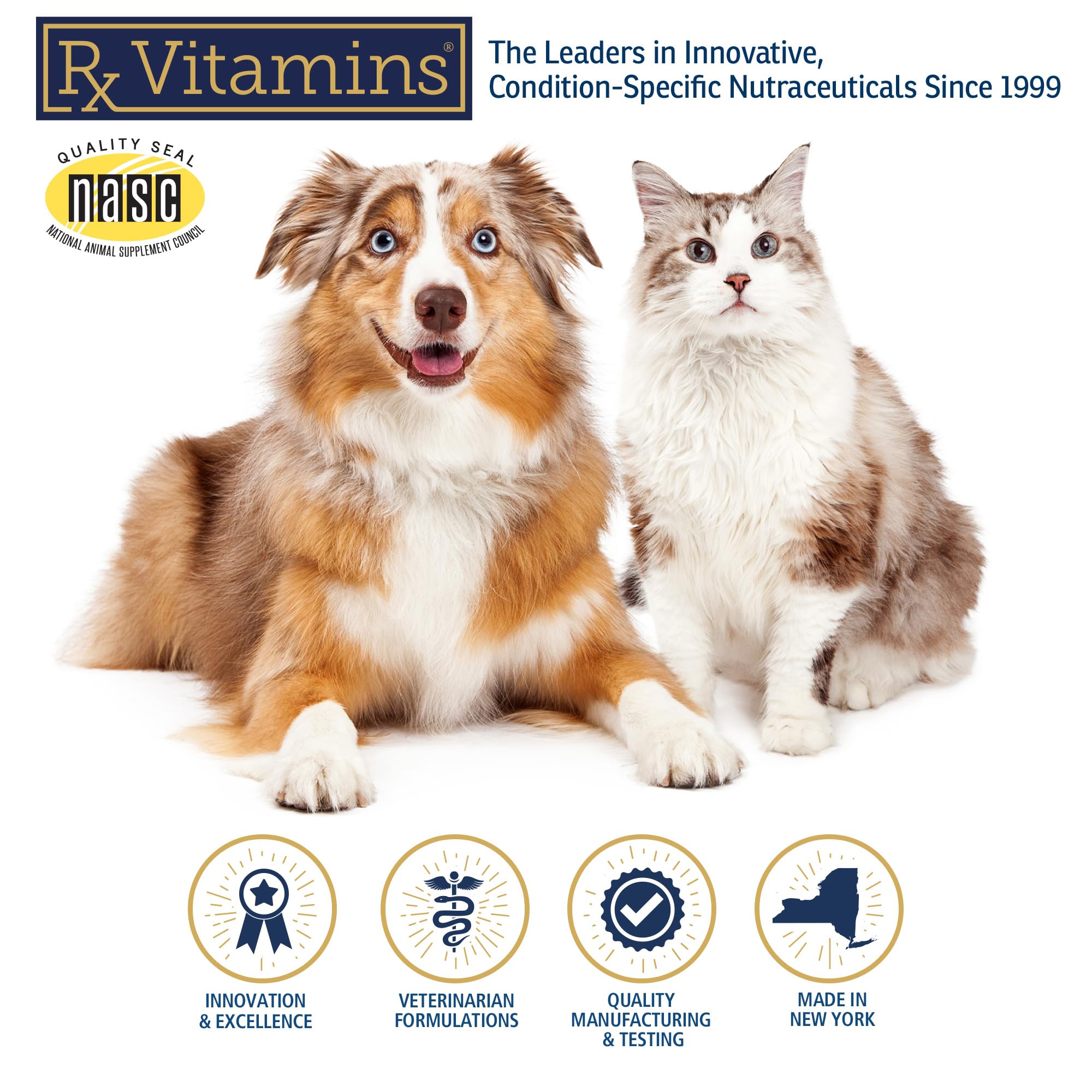 Rx Vitamins Amino B Plex packaging shows premium formulation.