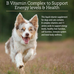 Rx Vitamins Amino B Plex being poured over pet food for easy mixing.